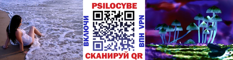 Псилоцибиновые грибы мицелий Пятигорск