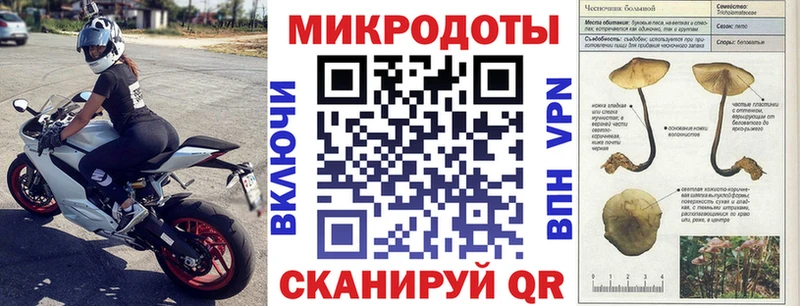 Псилоцибиновые грибы Psilocybe  Пятигорск 
