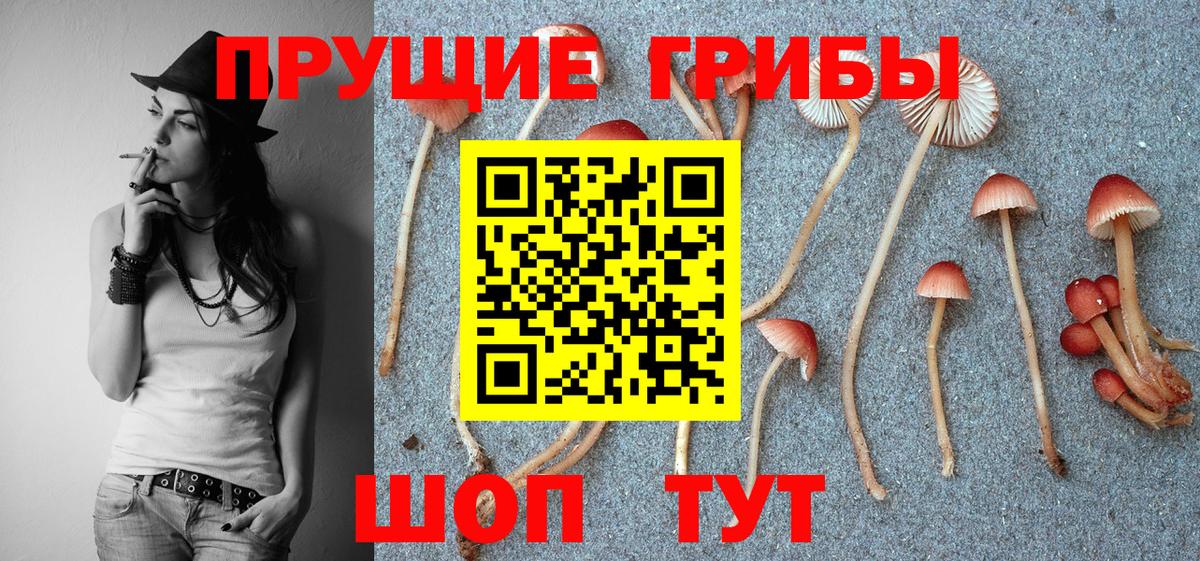 Псилоцибиновые грибы Magic Shrooms  Галлюциногенные грибы GOLDEN TEACHER  Пятигорск  Вход с VPN 