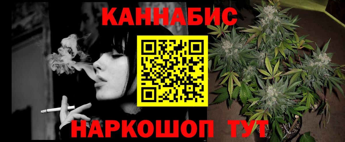Конопля сатива Пятигорск